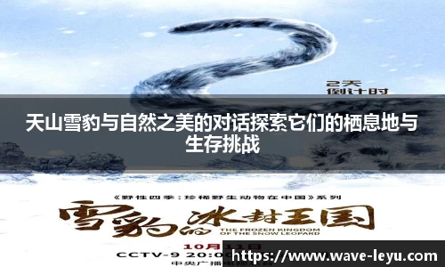 天山雪豹与自然之美的对话探索它们的栖息地与生存挑战